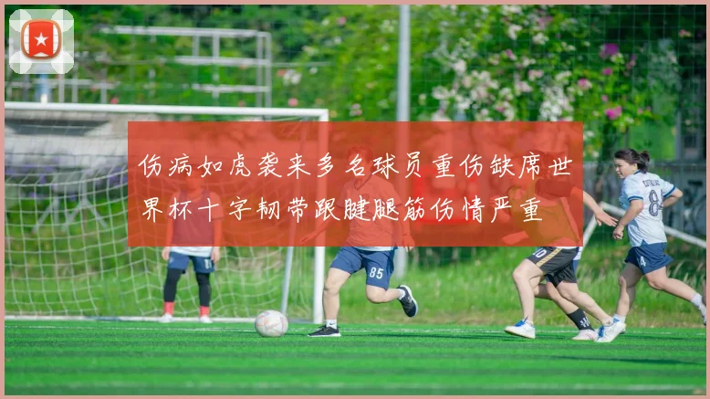伤病如虎袭来多名球员重伤缺席世界杯十字韧带跟腱腿筋伤情严重